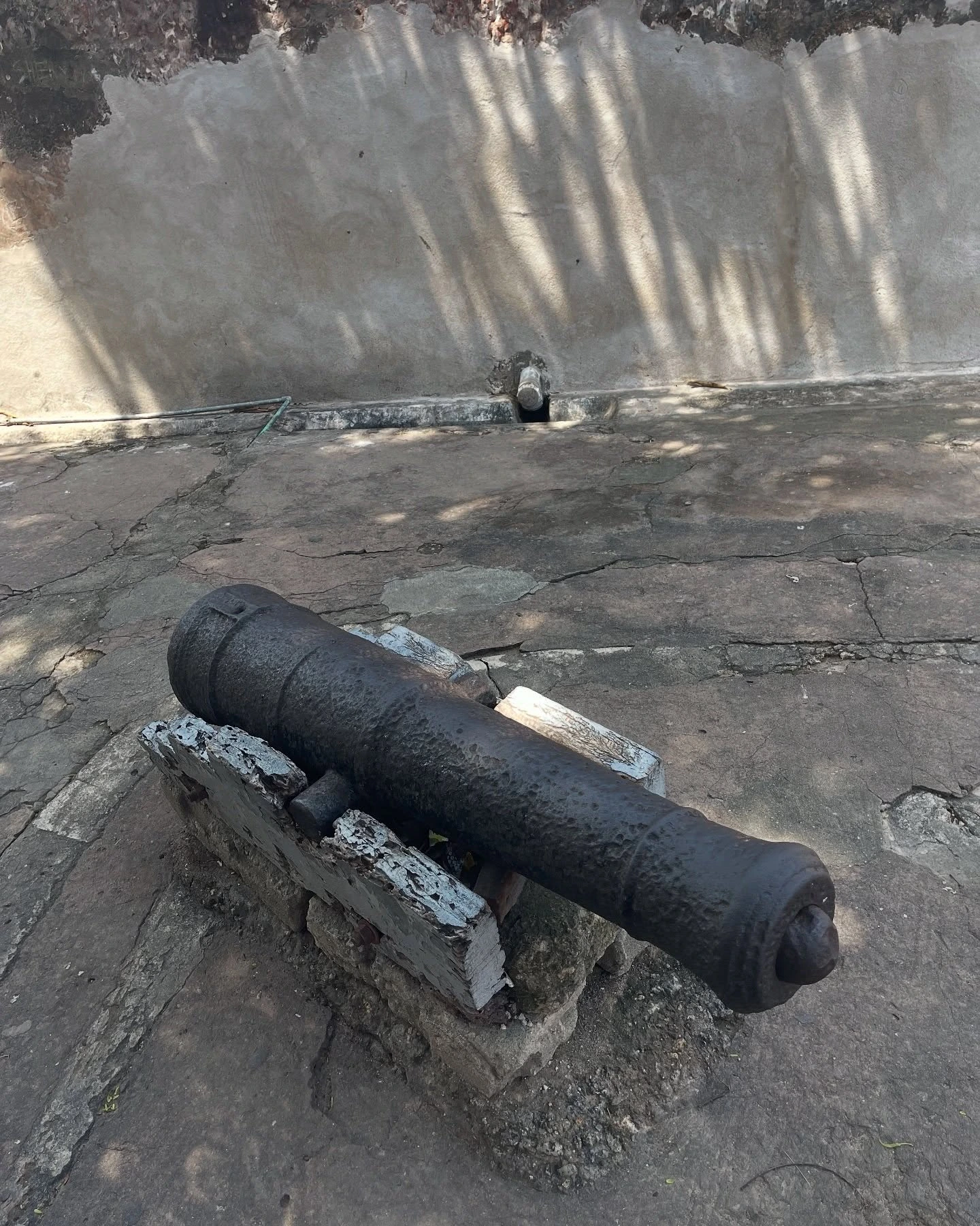 canons at Fort Jesus during photoshoot in Mombasa