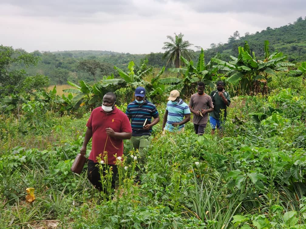 NGO agricultural project